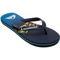 Quiksilver Chinelos Molokai Art