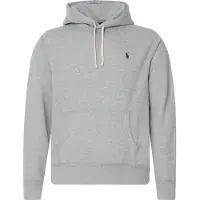 Ralph Lauren Sweatshirt navy / cinzento