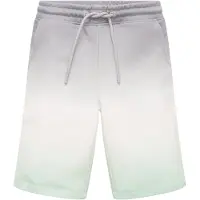 Tom Tailor Short De Treino 1031744 Colored