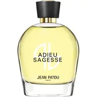 Jean Patou Coleção Héritage Adieu Sagesse Eau de Parfum para mulheres 100 ml