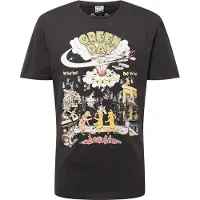Amplified Camisa 'GREENDAY - DOOKIE' amarelo / amarelo dourado / antracite / branco
