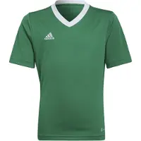 Adidas Camiseta De Manga Curta Entrada 22