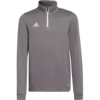Adidas Camisola de Treino Entrada 22