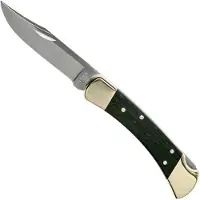 Buck Knives 110 Folding Hunter Ebony navalha