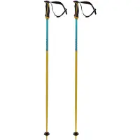 Völkl Bastões Phantastick 16 Mm