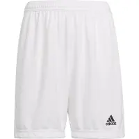 Adidas Calções Entrada 22
