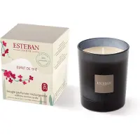 Esteban Esprità de The Candela profumata 180 g