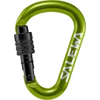 Salewa Mosquetão Hms Screw G2 Small