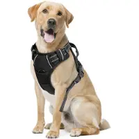 Nobleza Arnês Para Cães