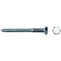Celo Parafuso De Lag Din 571 8x60 Mm 250 Unidades
