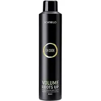Montibello Decode Volume Roots Up 300 ml