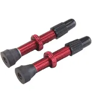 VAR Válvulas 2 Alloy Presta