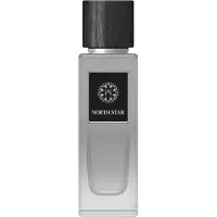 The Woods Collection Coleção madeiras Natural North Star EDP - 100 ml