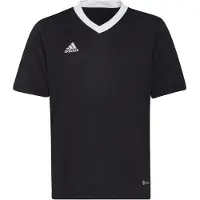 Adidas Camiseta De Manga Curta Entrada 22