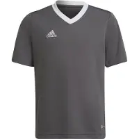 Adidas Camiseta De Manga Curta Entrada 22