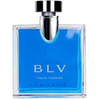 Bvlgari perfume BLV Pour Homme EDT 100 ml