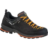 Salewa Sapatos De Caminhada Mountain Trainer 2 Gore-tex