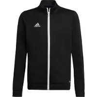 Adidas Casaco Entrada 22