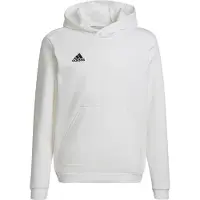 Adidas Moletom Com Capuz Entrada 22