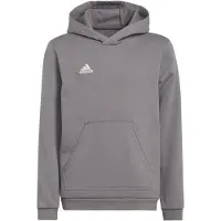 Adidas Moletom Com Capuz Entrada 22