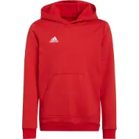 Adidas Moletom Com Capuz Entrada 22