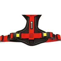 Beeztees Arnês Para Cães Premium Parinca Y