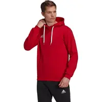 Adidas Moletom Com Capuz Entrada 22