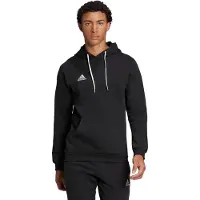 Adidas Moletom Com Capuz Entrada 22