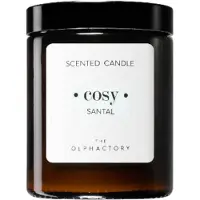 The Olphactory Cosy Santal, Santal, Candela Profumata, 135 g