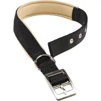 Ferplast Coleira De Cachorro Nylon Daytona C 25 Mm 53 Cm