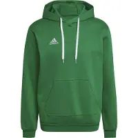 Adidas Moletom Com Capuz Entrada 22