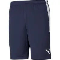 Puma Calças de desporto 'TeamLiga' azul escuro / branco