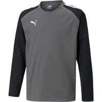 Puma Camisa funcionais 'TeamLiga' cinzento / preto / branco
