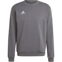 Adidas Sweatshirt Entrada 22