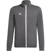 Adidas Casaco Entrada 22