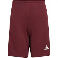 Adidas Calções Squadra 21