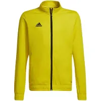Adidas Casaco Entrada 22