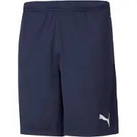 Puma Calças de desporto 'Team Rise' navy / cinzento claro