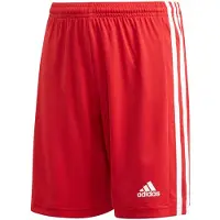 Adidas Calções Squadra 21