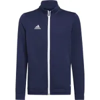 Adidas Casaco Entrada 22