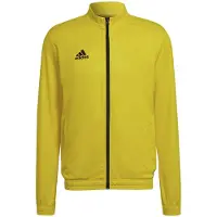 Adidas Casaco Entrada 22