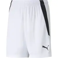 Puma Calças de desporto 'TeamLiga' preto / branco