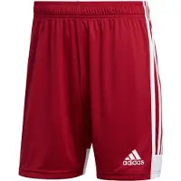 Adidas Calções Tastigo 19