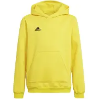 Adidas Moletom Com Capuz Entrada 22