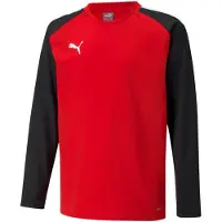 Puma Camisa funcionais 'TeamLiga' vermelho / preto / branco