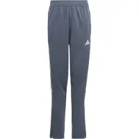 Adidas Calças Tiro23 L