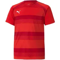 Puma Camisa funcionais 'TeamVision' vermelho / vermelho escuro / branco