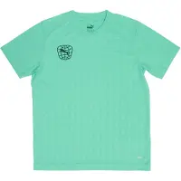 Puma Camisa funcionais turquesa / preto