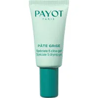 Payot Pâte Grise Spéciale 5 Cica-Gel 15 ml
