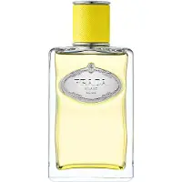 Prada Infusion D'Ylang EDP W 100 ml